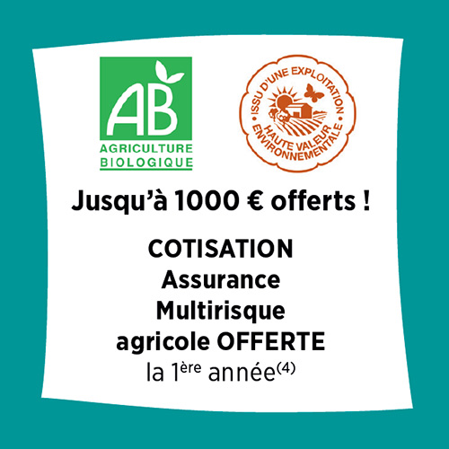 jusqu'à 1000€ offerts  !