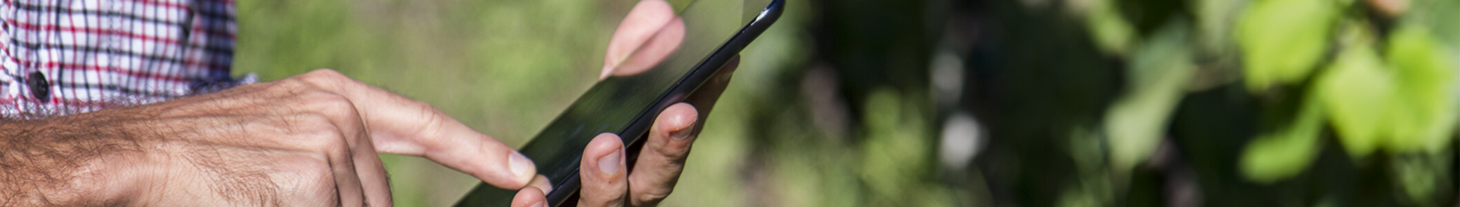 Bannière fiches mémos