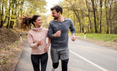 texte alternatif vignette animco